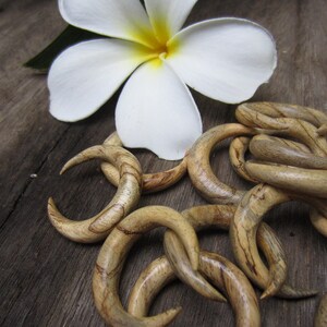 May include: A collection of wooden ear gauges in the shape of crescent moons. The gauges are made of light brown wood with dark brown streaks.