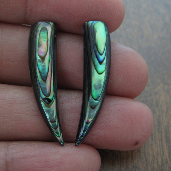 Pair of  Abalone tusk,  Paua, NOT-Drilled, Jewelry making supplies S8955