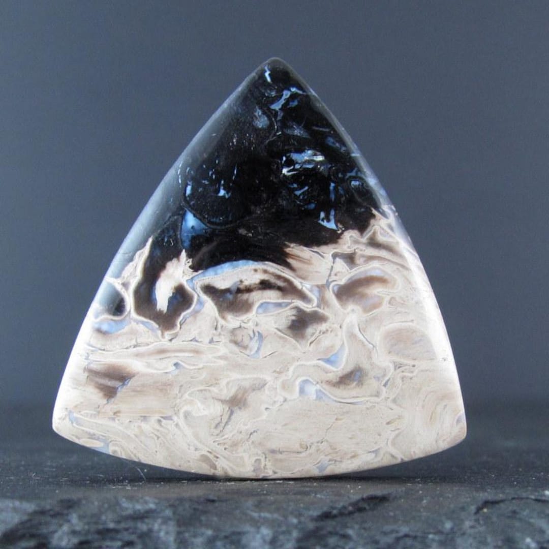 三角形の希少な化石木カボション、ヤシの木の化石 S10365 - Etsy 日本