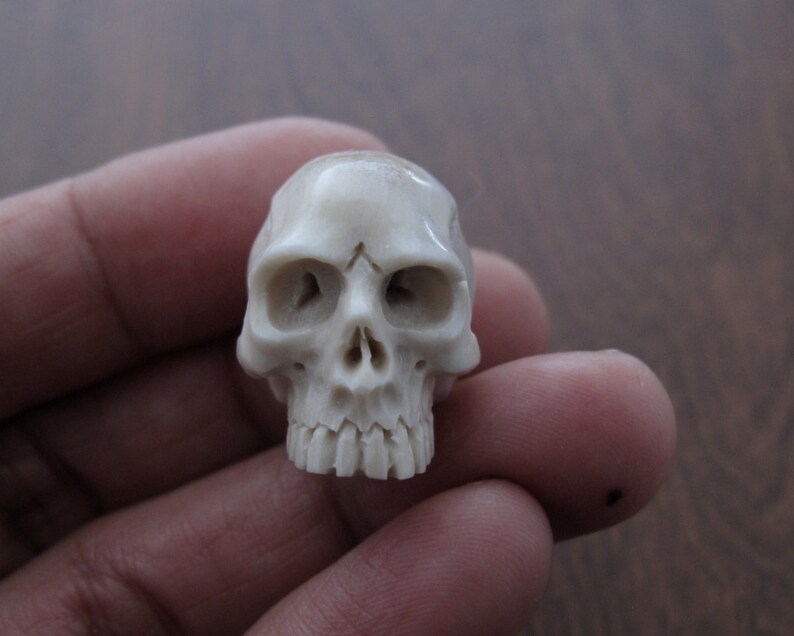 NOT Drilled Carved Deer Antler Jawless Skull Jewelry making Supplies S7584
