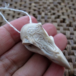 Stylized Raven Skull  Deer Antler Carving,  Side-Drilled,  Sculpture, Jewelry making  Supplies