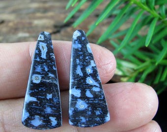 Unique Pattern Fossilized Palm Root, Rare Finding, Jewelry Making 