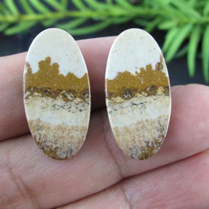 Beautiful picture jasper  cabochon pair, earrings,  Natural stone, Jewelry making supplies S10497