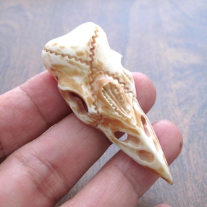 Colgante con forma de calavera de cuervo, tallado en hueso de búfalo envejecido, perforado lateralmente, escultura, suministros para la fabricación de joyas S8916
