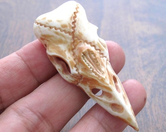 Colgante con forma de calavera de cuervo, tallado en hueso de búfalo envejecido, perforado lateralmente, escultura, suministros para la fabricación de joyas S8916