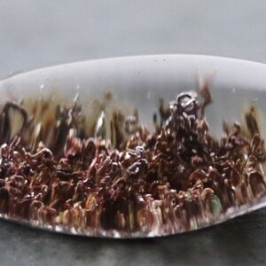 May include: A clear quartz crystal with a unique inclusion of brown and red dendrites. The dendrites resemble a forest or landscape.
