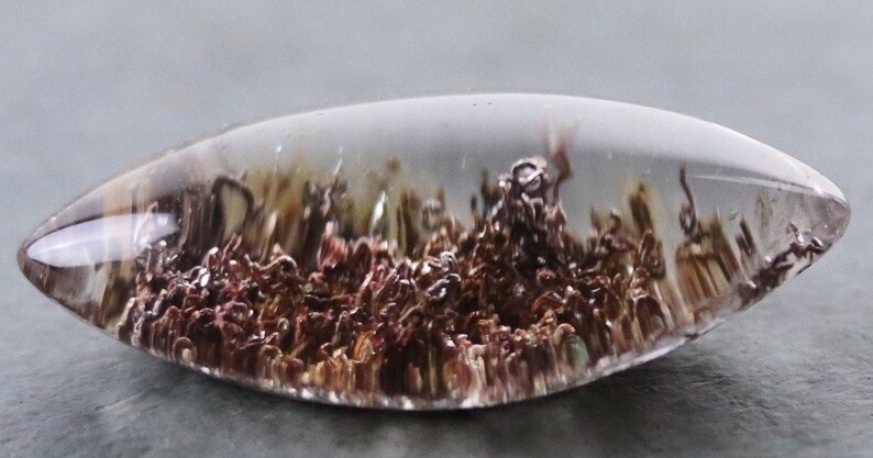 May include: A clear quartz crystal with a unique inclusion of brown and red dendrites. The dendrites resemble a forest or landscape.