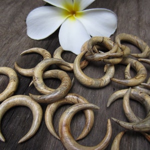 May include: A collection of wooden crescent moon shaped earrings in various shades of brown with natural wood grain patterns.