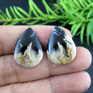 Indonesian  Petrified wood  cabochon pair, earrings,  Natural stone, Free drilling upon request Jewelry making supplies S10501