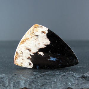 May include: A polished, triangular gemstone with a striking contrast. The stone features a blend of creamy white and warm brown tones on one side, transitioning to a deep, glossy black on the other. The stone's surface is smooth and reflective.