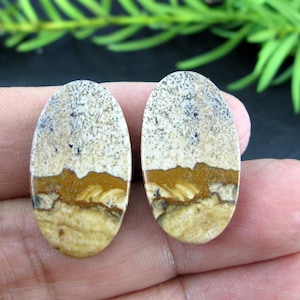 Beautiful picture jasper  cabochon pair, earrings,  Natural stone, Jewelry making supplies S10498