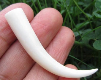 Hand Carved 50mm Buffalo  Bone Tusk, Pendant, Claw, NOT Drilled, Jewelry making supplies S5339