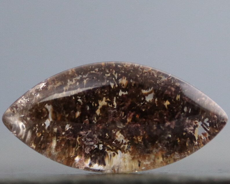 May include: A clear quartz cabochon with brown dendritic inclusions. The cabochon is oval shaped and has a smooth, polished surface.