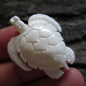 Adorable Baby  Turtle, side drilled , Natural Component, Jewelry making Supplies S2463