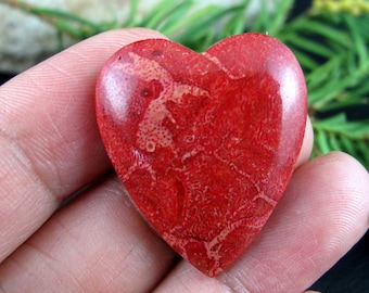 Gorgeous Red Coral Heart Cabochon, Valentine, Jewelry making supplies S8397