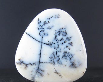 Uitstekende cabochon met dendritische opaal merliniet S10380