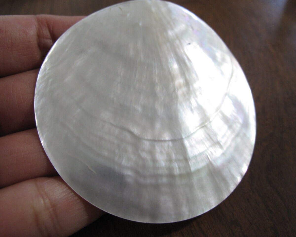 【M M.mother】 The Spinner Zip Ankle - Back Pedal | MOTHER DENIM