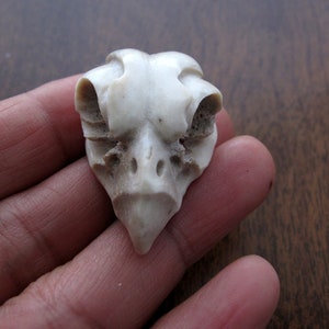 Medium VERSION  Carved Owl Skull,  deer antler carving, Sculpture, Jewelry making  Supplies, free Drilling upon request  S8789