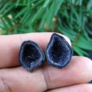 May include: Two dark purple geode halves with a sparkling crystal interior. The outer edges are a darker shade of purple with a green border. The geodes are held in a hand, with green foliage in the background.