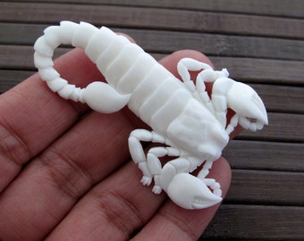 Excellently Detailed Hand Carved Scorpion, Scorpio, Buffalo Bone Carving, Jewelry making supplies S6833