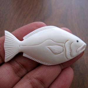 Excellent Hand Carved halibut, Buffalo bone carving, flat back,  Jewelry making Supplies SB8813