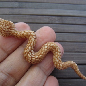 Amazing Detail Carved Snake, antique look,  Buffalo Bone carving, Pendants, Jewelry making S2907