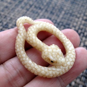 Amazing Detail Carved Snake, Rattle snake ,buffalo  Bone carving, Pendant, Focal cabochon ,Jewelry making  Supplies S3263