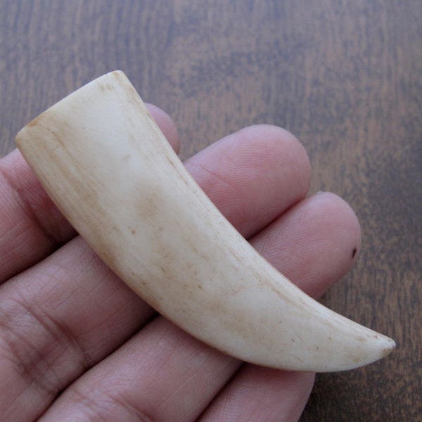 Large  Antique Looking   Hand Carved tusk , Double-Sided, NOT-Drilled, Jewelry making Supplies S7286