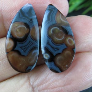 May include: Two teardrop-shaped gemstones with a polished surface. The stones feature a pattern of brown, black, and blue swirls and circular designs. The gemstones are likely for jewelry making or collecting.