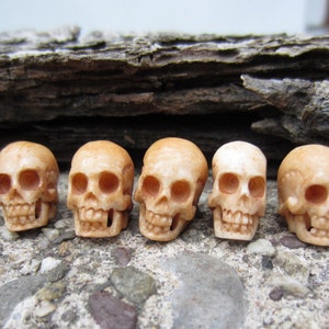Excellent Quality   5 pieces Hand Carved  skulls, antique  Bone beads, Goth, NOT DRILLED S2569