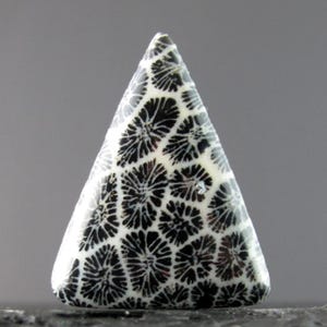 May include: A triangular, polished stone with a white base and intricate black floral patterns. The stone's surface is smooth and glossy, with a unique, natural design. The shape is reminiscent of a pendant or a decorative element.
