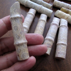 Large 3-D bamboo Shape Fossilized Coral , Cylindrical, Not-Drilled, Agatized Coral, jewelry making supplies S8986