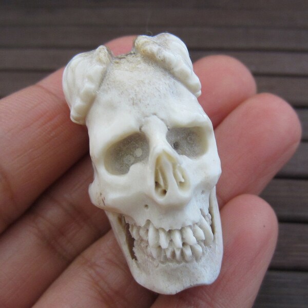 One of a kind skull and Ram ,  3 dimensional., Deer antler carving  S4582