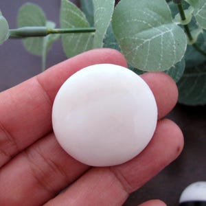 Puede incluir: Un objeto blanco, liso y redondo, posiblemente un elemento decorativo o un componente. El objeto se sostiene en una mano, con follaje verde en el fondo. La superficie blanca refleja la luz, creando un brillo sutil.