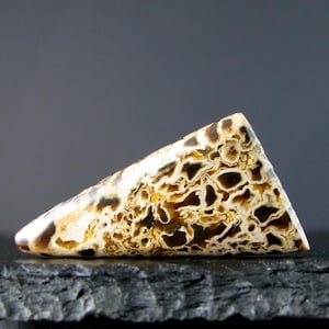 May include: A triangular gemstone with a distinctive pattern of brown and tan swirls and spots. The polished stone has a smooth, glossy surface and is set against a dark background. The gemstone's shape is reminiscent of a slice of pie.