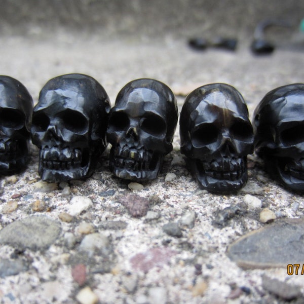 Hand Carved 5 Piece  Skull Bead Set, Carved Ox Horn, Top to Bottom DRILLED  S5845