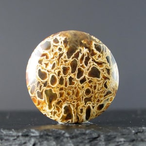 May include: A circular gemstone with a distinctive pattern. The stone displays a network of brown and tan organic shapes against a lighter backdrop. The surface is smooth and glossy, with a natural, earthy appearance.