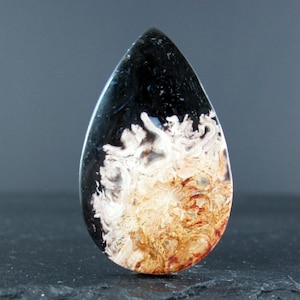May include: A teardrop-shaped agate cabochon with a black, white, and brown pattern. The agate has a unique, swirling pattern that resembles clouds or smoke.