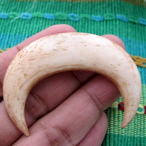 Antique Large bull  horn,  crescent, Buffalo bone carving , jewelry making supplies  S7271