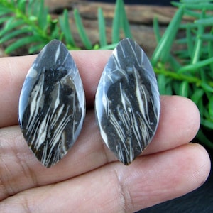Beautiful  Petrified wood  cabochon pair, earrings,  Natural stone, Free drilling upon request Jewelry making supplies