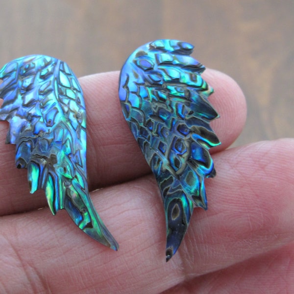 Gorgeous PAIR of Abalone Feathers, Hand Carved Paua, NOT-Drilled,  jewelry making supplies S8971