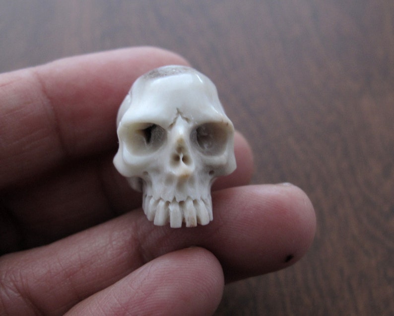 NOT Drilled Carved Deer Antler Jawless Skull Jewelry making Supplies S7584