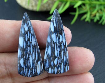 Unique Pattern Fossilized Palm Root, Rare Finding, Jewelry Making 