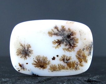 Prachtig landschap dendritische steen cabochon S10302