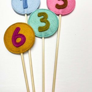 May include: Four felt circles with numbers 1, 3, 5, and 6 on wooden sticks. The circles are in blue, green, pink, and yellow.