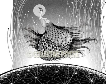 Beholder - Peacock 13" x 19" Art Print