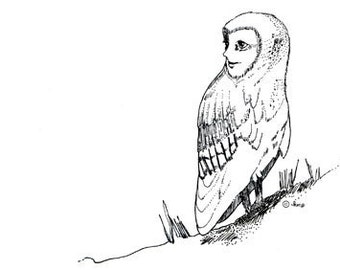 Owl Woman - 4"x 6" Blank Card