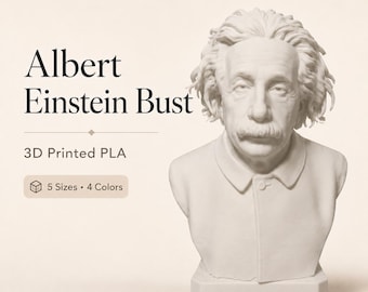 Arte de fans del busto de Albert Einstein - Impresión 3D en PLA