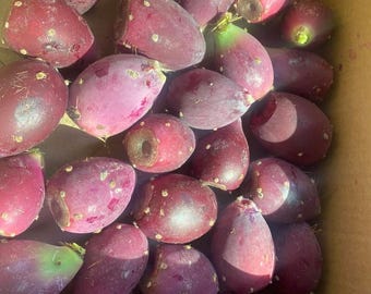 1 Pound of Prickly Pears