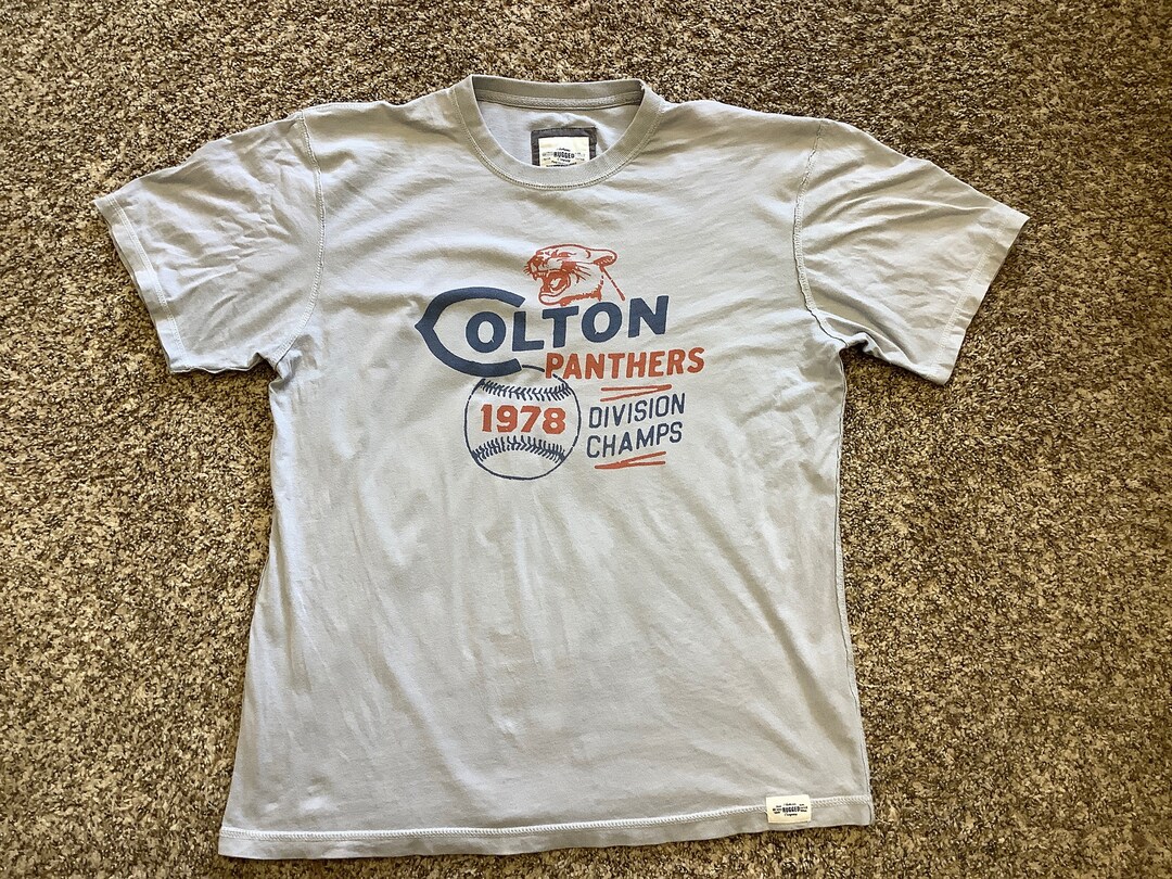 Panthers division champions best sale shirt